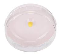 Generic Roue de Course pour Hamster Super Silencieuse, Jouet d'exercice Sûr pour Petits Animaux de Compagnie, Matériau en Résine PP écologique, 1 unité (12CM)