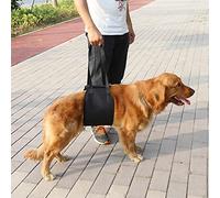 Generic Soutenir Le Harnais de Réhabilitation avec Une Longue Sangle de Levage pour Les Chiens, Facile à Utiliser et à Stocker, Fournit Une Aide aux Animaux de Compagnie Difficiles à mobilité (L)