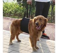 Generic Soutenir Le Harnais de Réhabilitation avec Une Longue Sangle de Levage pour Les Chiens, Facile à Utiliser et à Stocker, Fournit Une Aide aux Animaux de Compagnie Difficiles à mobilité (XL)