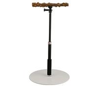 Generic Stand d'oiseaux, Gare de Jouets de Perche d'oiseau, Perchoir à Oiseaux Réglables Détachables pour l'intérieur