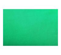 Generic Tell Photo, Fond de Photographie 1.6 * 1M Tissus Non Tissés avec Conception sans Couture Pliable et Toile de Fond Lavable pour Les Fêtes de Photoshoot de Studio Vidéo Professionnel (Green)