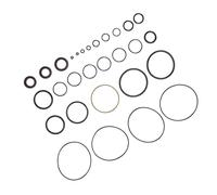 Generic Triple Ramgen 2 1990-2001 Kit de Reconstruction D'inclinaison de Garniture de 135 à 250 Chevaux Conformité OEM