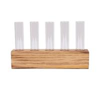 Generic Tubes de Propagation des Plantes, Facile d'entretien, Vases en Verre Transparent pour Le Jardinage Intérieur, 6 Unités, Base en Bois (avec Brosse)