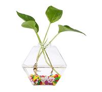 Generic Vase à Plantes Suspendues en Verre, Conteneur D'aquarium Hydroponique Mural Robuste pour la Décoration de la Maison, Atmosphère de Vie Poétique, Décoration Créative pour la Maison ou Le