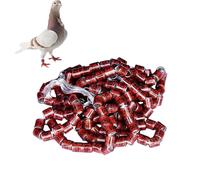 Genérico 2025 Lot de 50 anneaux pour pattes d'oiseaux Couleurs vives Taille Accessoires pour nichoirs Facile à distinguer