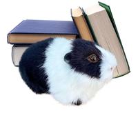 Generico Animal pour hamster - Jouet mignon pour hamster - Matériau doux et portable - Forme d'animal détaillée antidérapante - avec coussin à câliner, choix de cadeau