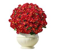 Generico Artificial Mums For Outdoors, Weather Resistant Plants Home, 10-Bundle Artificial Outdoor Sunset Mums Fall Flowers, Decorations For Yard Vase Balcony Desktop Bedroom Entrance Porch Backyard