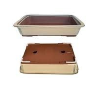 Genérico BIOMATA Pot de bonsaï rectangulaire en céramique 35 x 24,5 x 6,5 cm | Grand pot de bonsaï fabriqué au Japon | Pot avec trou de drainage | Arbre non inclus | Crème