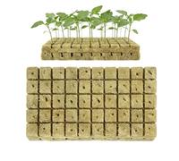 Genérico Blocco Idroponique - 0,98 × 0,98 Pollici Agricoli Fuori Suolo, 100 Cubi Da Piantare per - per - per Giardinaggio Indoor Serra Coltivazione Propagazione