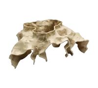 Generico Bombes de bain - PVC 23,5 x 18,2 x 5,8 cm 12 pièces | Bath Bomb | Pétillant Dissolution Rapide Jouet Douche Bulles Savon Hôtel Piscine Anniversaire Support Équipement Kit