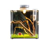 Genérico Cage de reptile claire pour petits animaux de compagnie, terrarium acrylique La croissance des araignées sauteur | Petit conteneur polyvalent de copropriété, t
