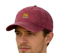 Genérico Casquette de type Trucker et casquette de baseball respirante et légère au design structuré | De baseball d'hiver, pour famille, amis, adultes, hommes, femmes, activités extérieures et