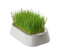 Generico Cat Grass Planter - ABS 19 x 12,5 x 5 cm | Compact 2 niveaux amovible Reusable Tray | Intérieur Outdoor Cat Grass Pot pour Home Countertop Pet Kitten Family Friends Crafted Planter.