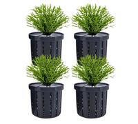 Generico Conteneurs pour d'aquarium | Coupe stable pour de baignoire, support d'algues, décoration d'éléments d'eau pour appartements, dortoirs, restaurants, maisons et entreprises
