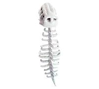 Generico Costume squelette, bonnet avec doux et crâne pour cosplay d'Halloween - accessoires cosplay pour déguisements adulte spectacles événements anniversaire Noël