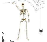Genérico Décoration de Squelette pour extérieur, Squelette Humain Taille réelle avec articulations Mobiles - Décoration de fête pour Jardin, Patio, arrière et Porche