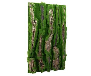 Generico d'écorce d'armé de dragon barbu - Réglage amélioré, d'écorce pour décorations de terrariums de lézards, écorces naturelles | Décoration Habitat pour Luc