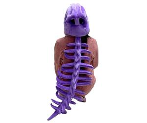 Generico Dinosaur Skeleton Costume Adulte Réaliste Bodysuit With Roar Sound, Professional Cosplay Jumpsuit For Haunted House &, High- Performance Outfit | For Men Women