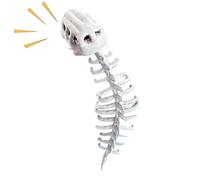 Generico Dinosaur Skeleton Costume Set - 45,2 x 15,7 in Skull Headpiece Realistic Detail | Adjustable Spine Display, Cosplay Outfit For Halloween Parties, Role Play, Stage Shows, Themed Events