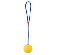 Generico Dog Chew Toy with Rope, Dog Tug Toy with Rope, Pet Bite Resistant Ball, Interactive Pet Training Toy, Small Dog Training Ball, Tug and Chew Dog Toy, Squeaky Training Dog Toy