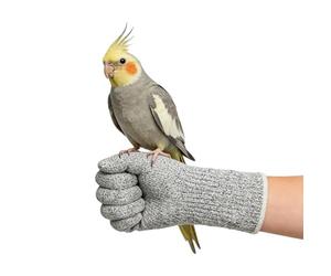 Generico Gants anti-morsure - Protection multi-usages à l'épreuve des morsures et des rayures - Gants pour la manipulation, pour l'entraînement, le jardinage, la sécurité vétérinaire, l'agriculture