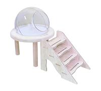 Genérico Hamster Sand Bath Container - Small Pet Bathroom | Transparent Small Animal Shower Room with Ladder For Hamster, Gerbil, Bunny, Hedgehog, Ideal For Grooming, Digging, and Cage Habitat Care