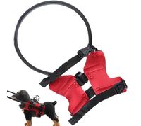 Generico Harnais pour chiens aveugles - Collier Halo de protection pour chiens non voix, pare-chocs réglable sécurité conduite accessoire collier de protection pour promenades