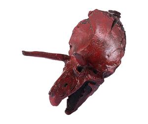 Generico Hiking Whistle | Triceratops Shape Toy Survival Gear - Halloween Whistle Safety Gear - for Adventure Backpacking Wild Field Party Events Haunted Houses Entertainment