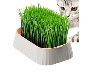 Generico Jardinière chat - pot chat | boîte à chats | plateau germination double couche, pot intérieur anti-basculement pour chats, récipient sans terre pour cultiver du blé p