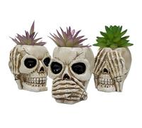 Generico Jardinière succulente 3 pots de fleurs en résine avec tête de mort | Pot créatif pour succulentes, bonbons, pot de fleurs, pot de fleurs amusant pour plantes pour décorations gothiques