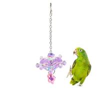 Generico Jeux pour oiseaux, anti-morsure, interactif, pivotant à 360°, roue jouet colorée pour perruches, inséparables, coniques, calopsitte, miracles, intérieur/extérieur/jardin