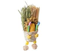 Genérico Jouets naturels pour oiseaux, jouets interactifs à mâcher et à détruire | Accessoires pour cages à oiseaux et animaux de compagnie | extérieur, jardin, patio, balcon, terrasse, hamac, fenêtre