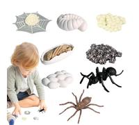 Generico Kit cycle de vie de la fourmis - Ensemble de figurines éducatives de 2 à 9 cm, jouet modèle de croissance des animaux, collection de cycles d'apprentissage avec matériau sûr de haute qualité