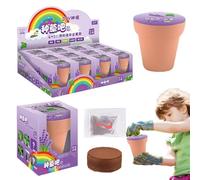Generico Kit de Culture de Fleurs | Boîte de Jardinage pour - Mini Fleurs et Légumes Observation DIY Fleurs en Pot, Science 'Asile Et Cadeau de Première Éducation
