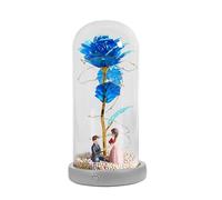 Generico Lampe artificielle éternelle - 21,5 x 10,5 cm, ornement lumineux alimenté par batterie, cadeau pour lumière de nuit avec pétales de feuille d'or | Proposition de célébration fête de remise