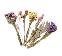 Genérico Litière florale pour hamsters, décoration naturelle, cage chinchilla, doublure pour cage de hamster nain, pour hérissons, oiseaux, mariages, camping, fêtes, Noël, Pâques, amoureux des animaux