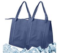Generico Lot de 2 sacs thermiques de transport portables spacieux | Sac isotherme TNT pour bureau, chantier, pique-nique, excursions, fêtes, vacances