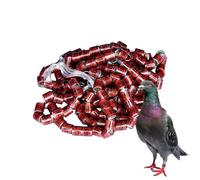 Genérico Lot de 50 anneaux d'identification de pigeons pour oiseaux résistants et résistants aux couleurs vives