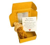 Generico Mini Ours - Peluche dans Une boîte, Poche Faite Main | avec Carte d'inspiration Douche Noël Remise de diplôme Maman Cadeau pensée Professionnels Voyageurs Artistes