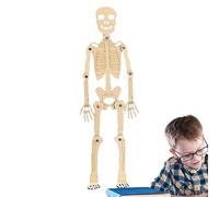 Genérico Modèle de squelette anatomique, 30 cm, figurine de squelette, figurine éducative de corps humain pour , décoration de bureau, Halloween, enseignement scientifique