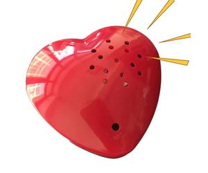 Genérico Module de son enregistrable - Dispositif d'enregistrement vocal de jouet en peluche, accessoire d'insertion pour poupée | Unité de lecture de messages personnalisée