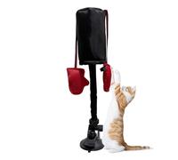 Genérico Pack pour chats - Jouets de boxe pour chats | Gym Boxing Bag, Boxing Bag, Interactive Toy to Cats, For The House, une boutique