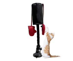 Genérico Pack pour chats - Jouets de boxe pour chats | Gym Boxing Bag, Boxing Bag, Interactive Toy to Cats, For The House, une boutique