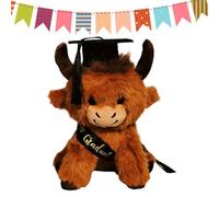 Generico Peluche pour l'obtention du diplôme | vingt-cinq centimètres mignonne, en peluche rembourrée, destinée aux femmes et aux hommes, fête de l'obtention du diplôme de l'école maternelle et