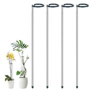 Generico Plant STEM Support - Réglable Length Monstera Plant Support | 4 Pieces Polyvalent Reusable Gardening Accessories for Vegetables Flowers Potted Tomato Rose Vine Marigolds Indoor Outdoor