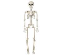 Generico Posable Skeleton | Posable Halloween Skeleton Decor - Graveyard Props Skull Figurine Bone Statue Ornament for Indoor Outdoor Tabletop Yard Mantel Desktop Shelf