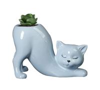 Generico Pot de félin - Corps en Porcelaine Artisanale, Design ornemental prêt pour Le Drainage, Mini Accessoire vitrine Verte, boîtier décoratif pour Flore