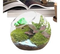 Generico Pot de poisson, terrarium pour plantes dans,Conteneur de terrarium rond en - Pot de plantes, pot de plantes, conteneur de plantes à air, centre de table pour décorations domesti