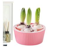 Generico Pots pour Plantes Hydroponiques Intérieures - Conteneur à 3 Trous Plantation,Pot de Jardin Bulbes de Narcisse | Appartement Bureau Débutants Intérieur Seuil Cuisine Chambre Ca