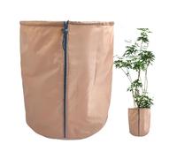 Generico pour, Isolant respirant pour arbres de jardin - Couvertures pour surmonter la protection indispensable pour vos précieuses, protection pour Pi